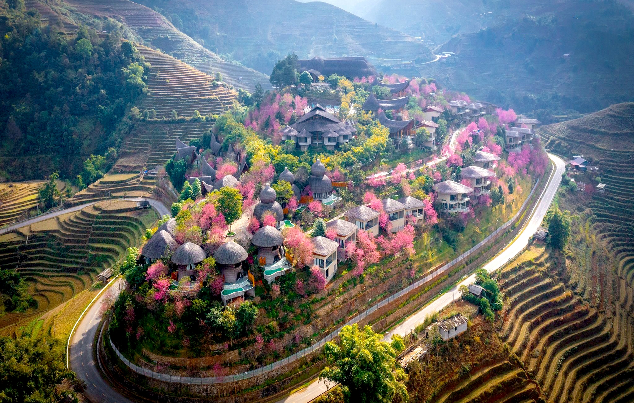 garrya mu cang chai